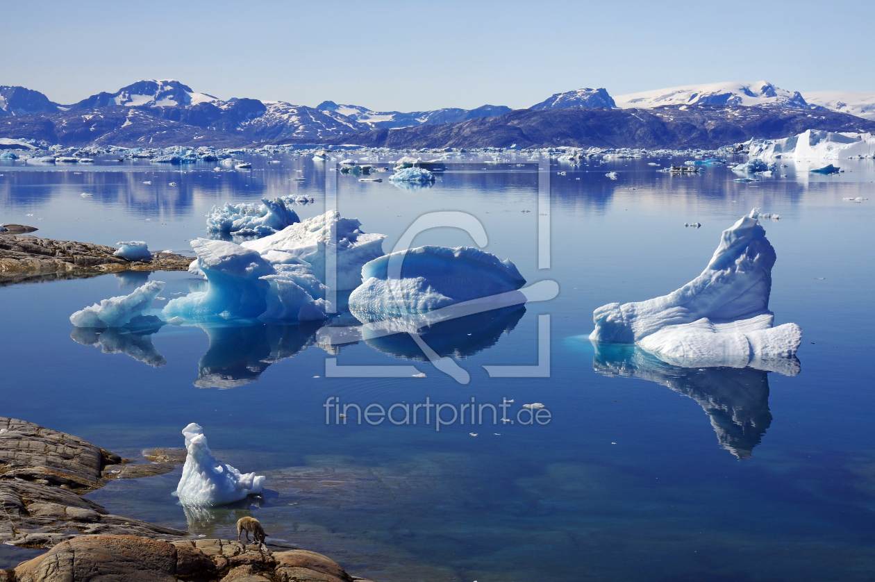 Bild-Nr.: 12082412 Eisfjord in Ostgrönland erstellt von reinhard Pantke