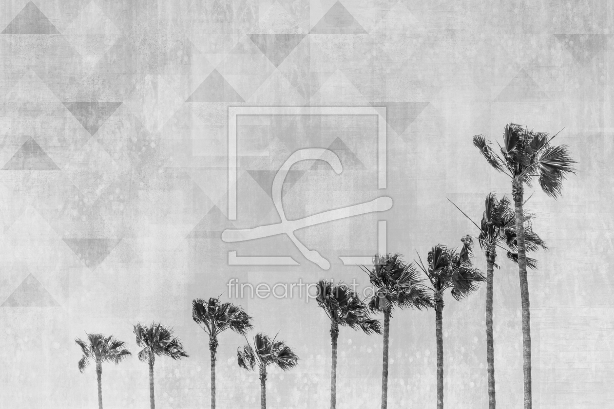 Bild-Nr.: 12084173 California Vibes - Monochrom erstellt von Melanie Viola