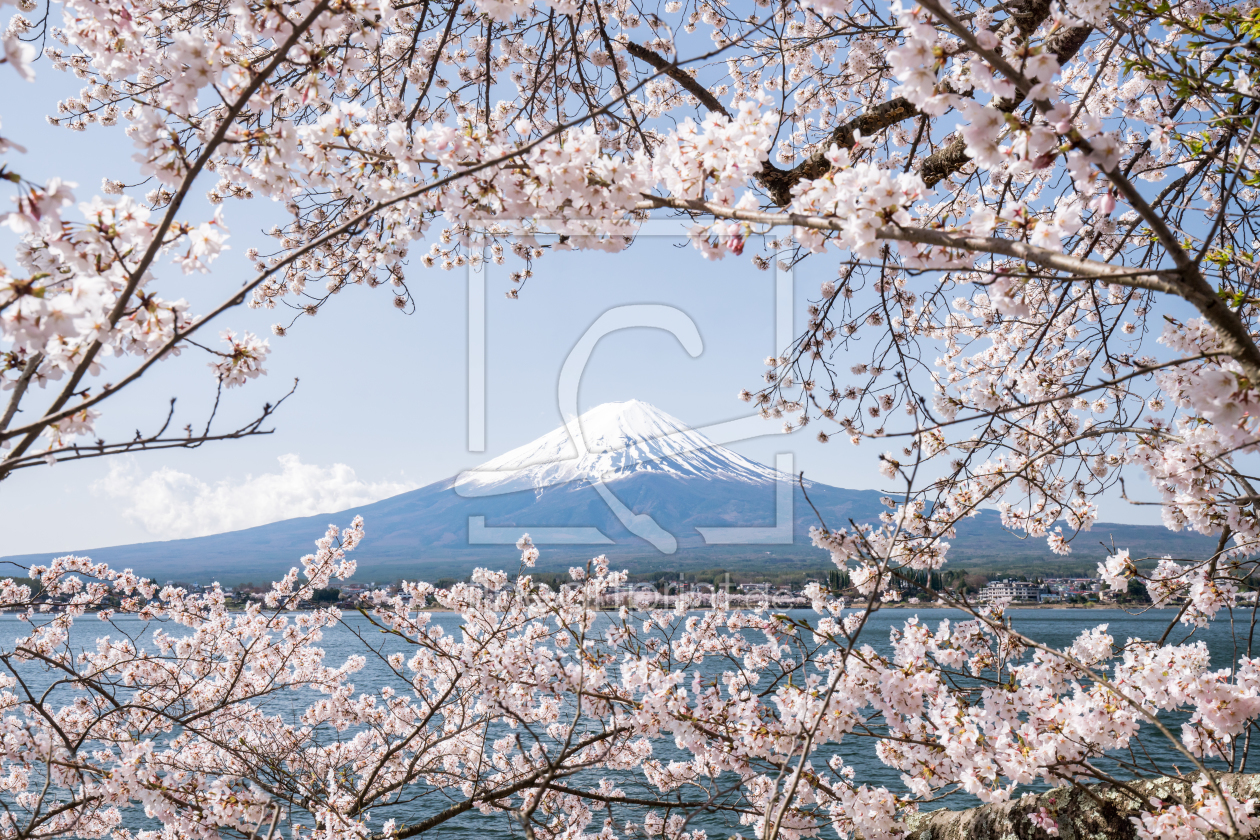 Bild-Nr.: 12086254 Berg Fuji im Frühling erstellt von eyetronic