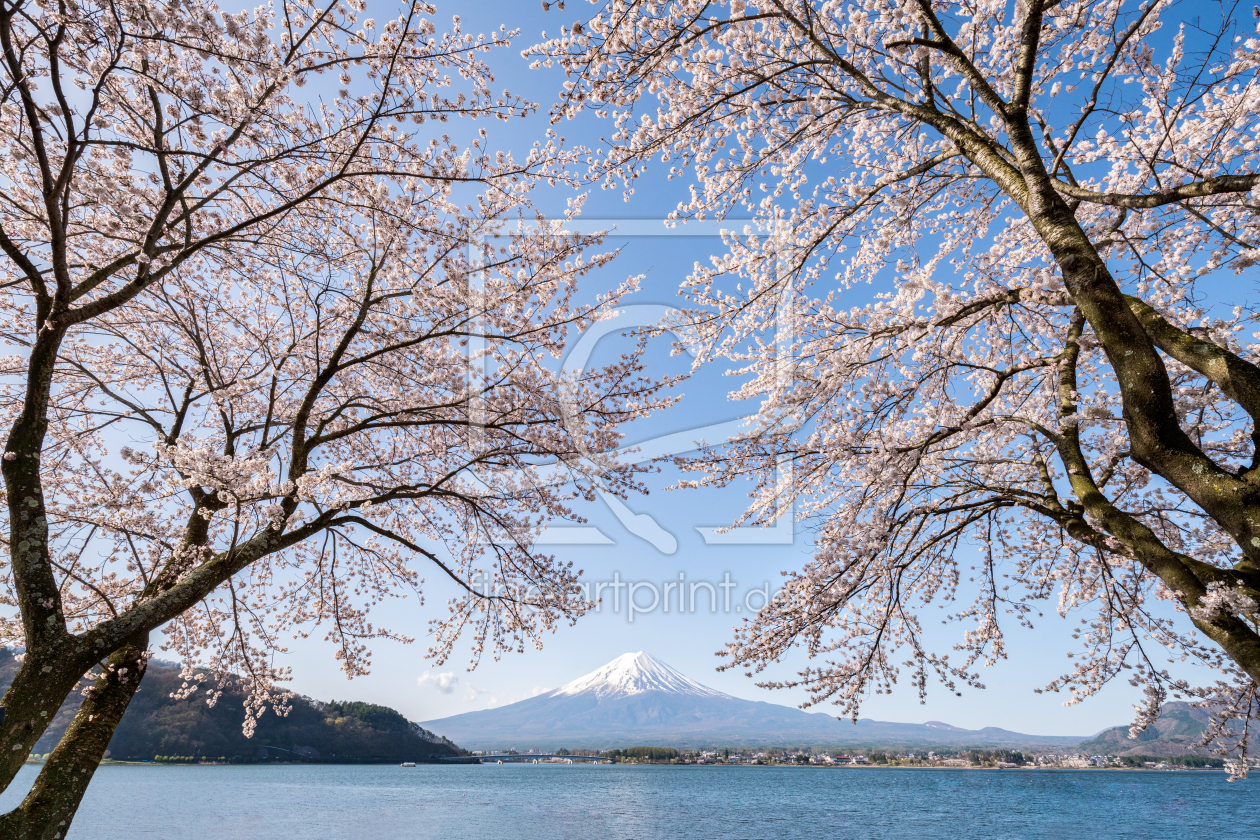 Bild-Nr.: 12086407 Berg Fuji im Frühling mit Kirschblüte erstellt von eyetronic