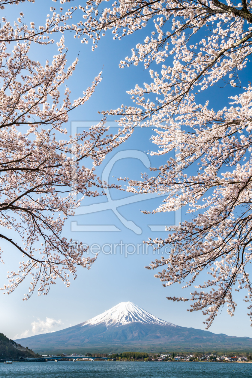 Bild-Nr.: 12086413 Berg Fuji mit Kirschblüte erstellt von eyetronic