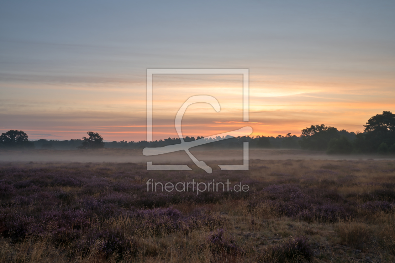 Bild-Nr.: 12089377 Sonnenaufgang in der Heide erstellt von volker heide