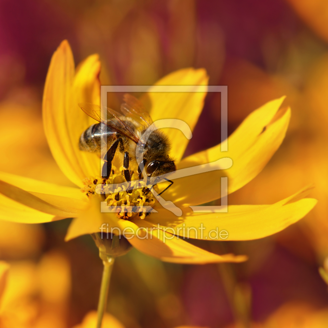 Bild-Nr.: 12089956 Biene erstellt von Atteloi