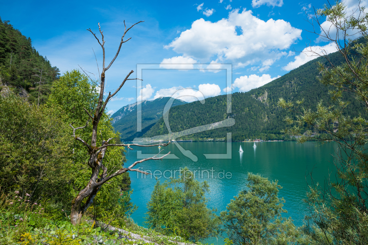 Bild-Nr.: 12091515 Der blaugrüne Achensee im Sommer erstellt von SusaZoom