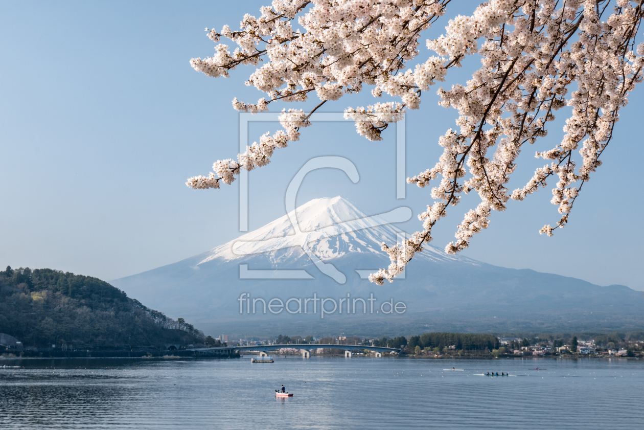 Bild-Nr.: 12091846 Berg Fuji im Frühling erstellt von eyetronic