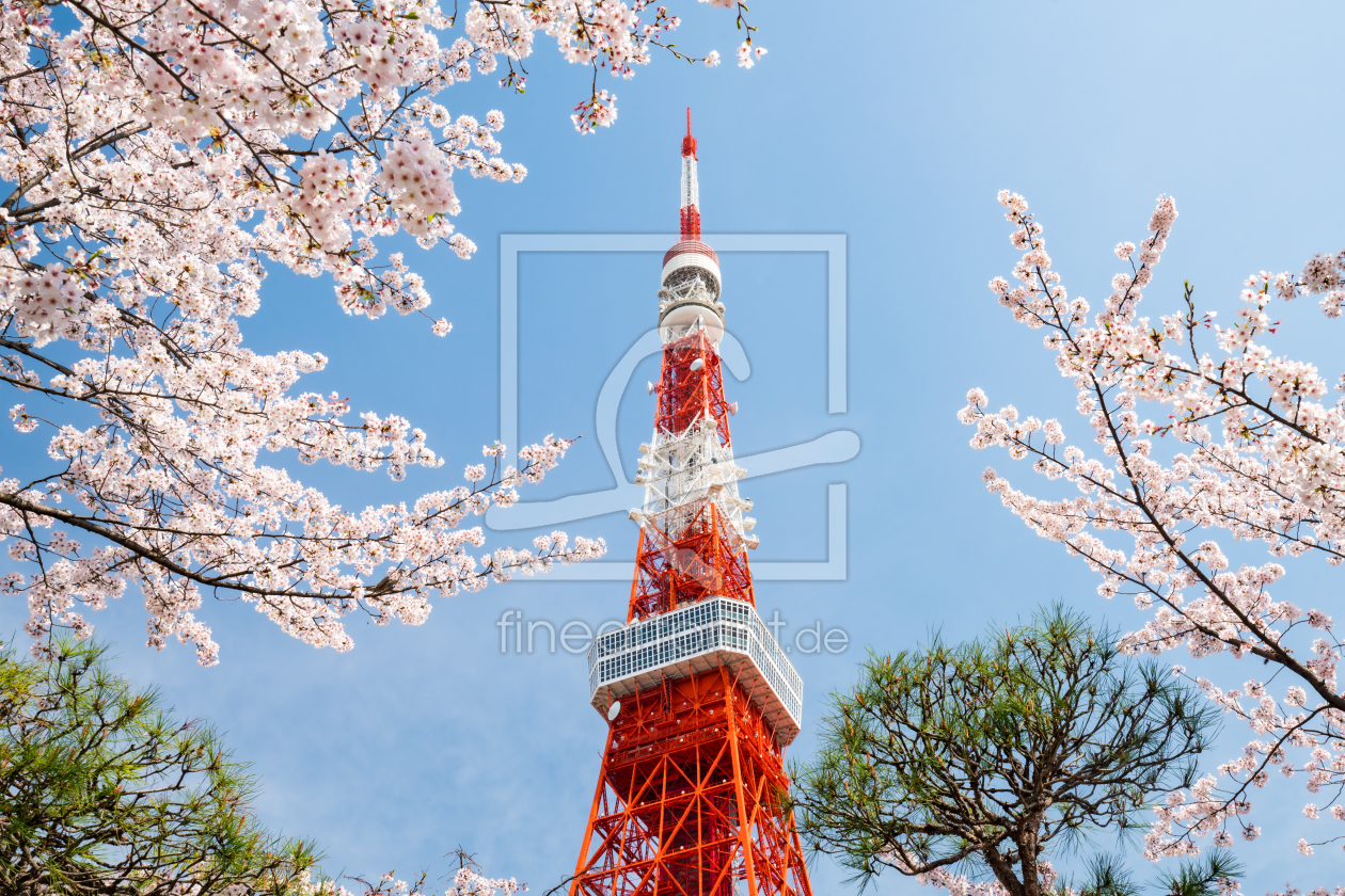 Bild-Nr.: 12091881 Tokyo Tower mit Kirschblüte erstellt von eyetronic