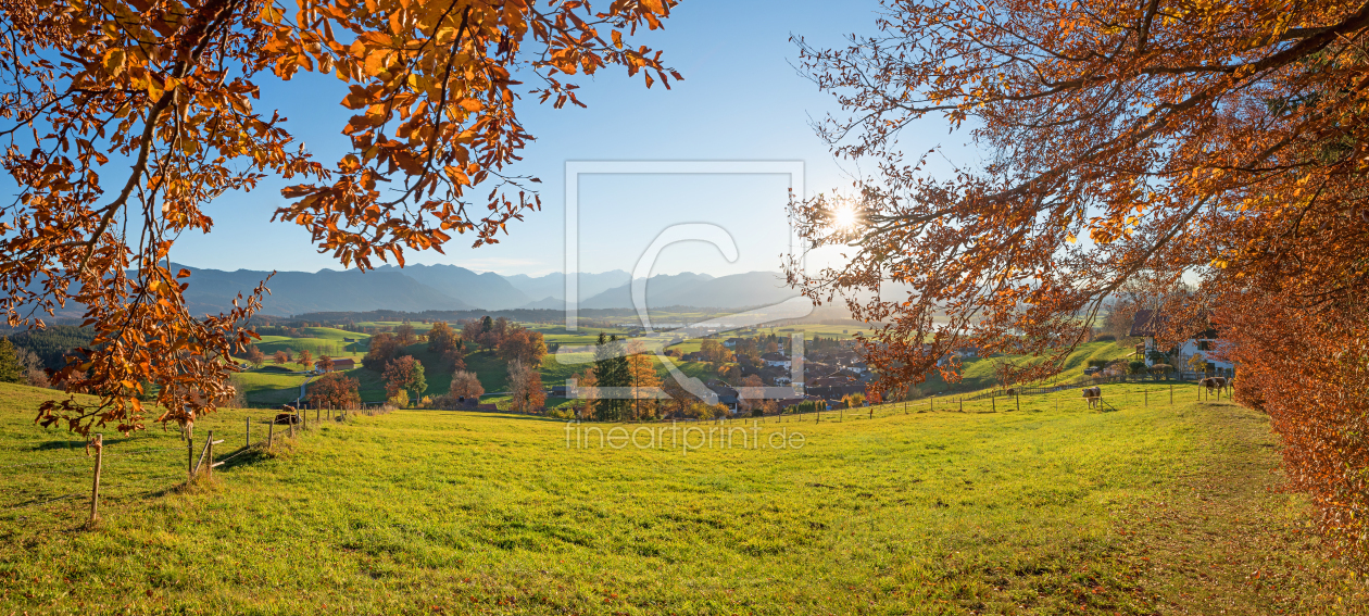 Bild-Nr.: 12093100 Herbstlicher Waldrand Aidlinger Höhe erstellt von SusaZoom