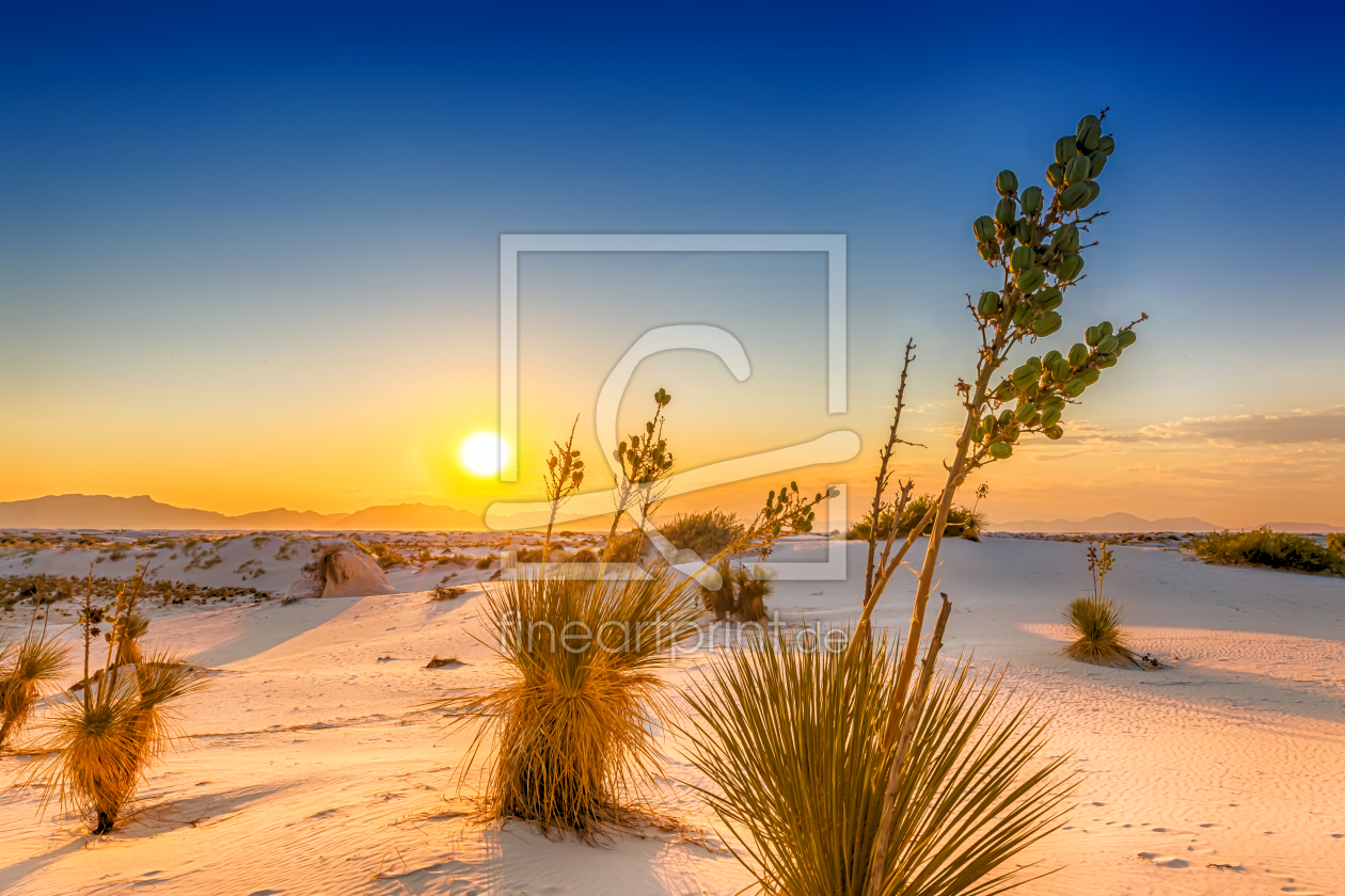 Bild-Nr.: 12093534 Sonnenuntergang - White Sands National Monument erstellt von Melanie Viola