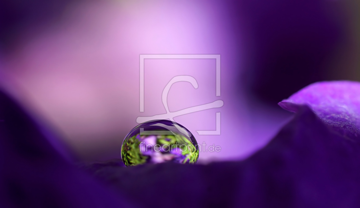 Bild-Nr.: 12093777 Lilac pearl erstellt von youhaveadream
