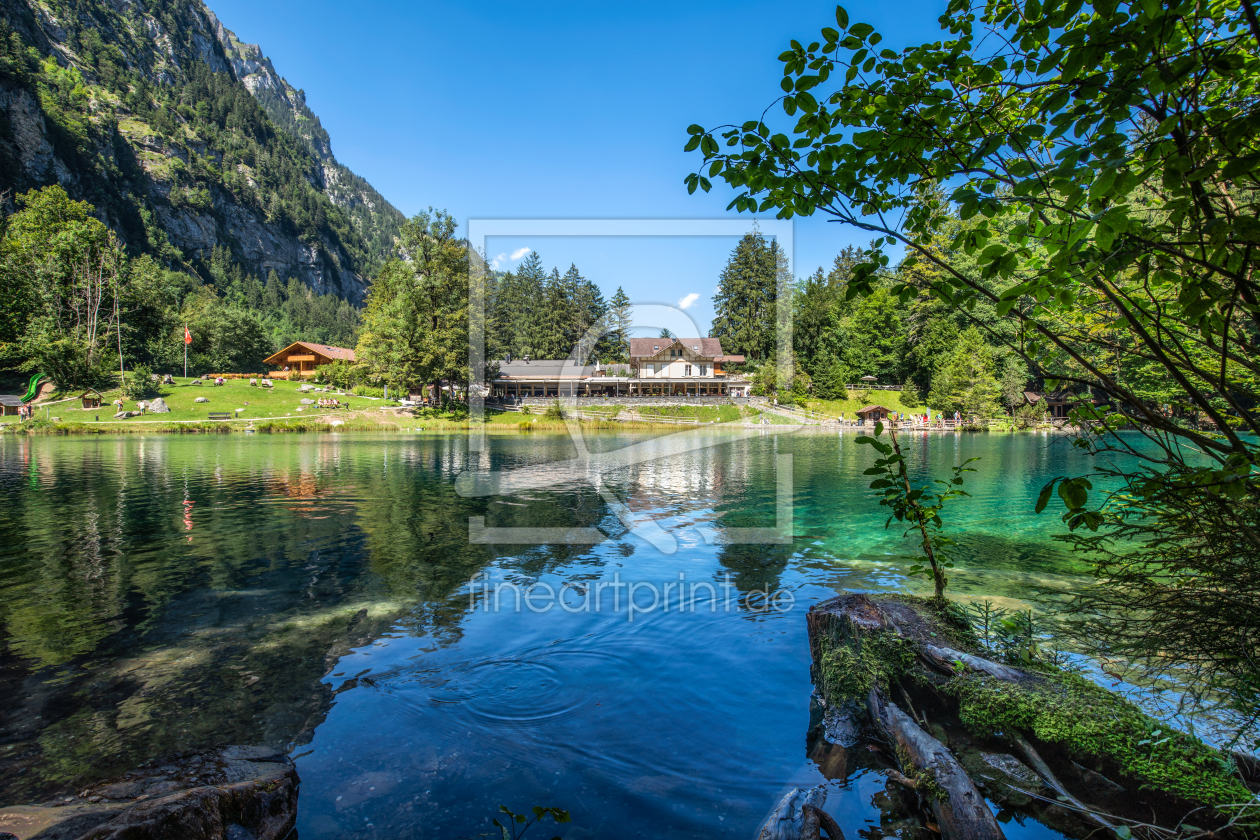 Bild-Nr.: 12097107 Blausee im Sommer erstellt von eyetronic