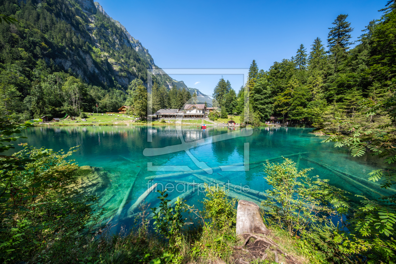 Bild-Nr.: 12097504 Blausee  erstellt von eyetronic