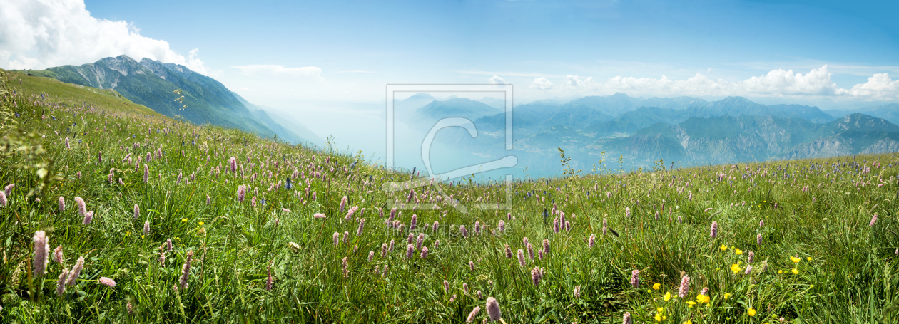 Bild-Nr.: 12099479 Bergwiese Monte Baldo Italien erstellt von SusaZoom