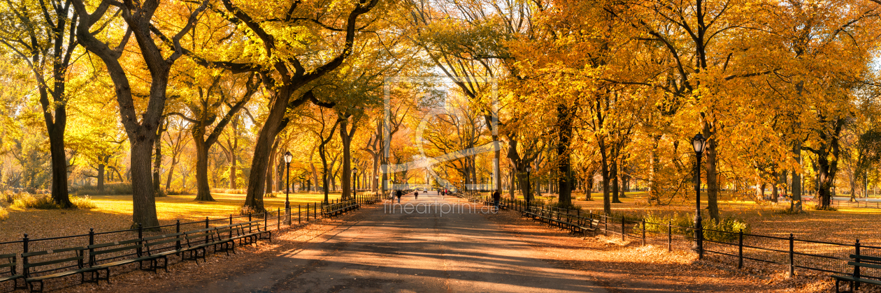 Bild-Nr.: 12099809 Central Park in New York City erstellt von eyetronic