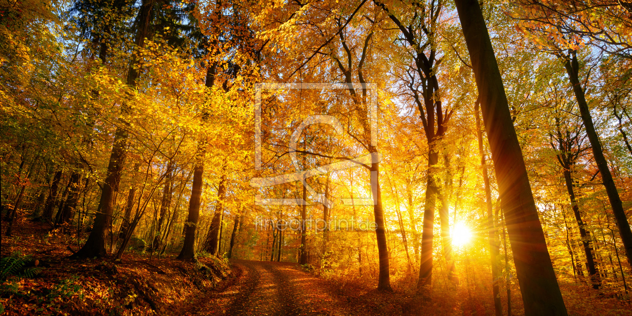 Bild-Nr.: 12105428 Herbstlicher Sonnenuntergang im Wald erstellt von Smileus