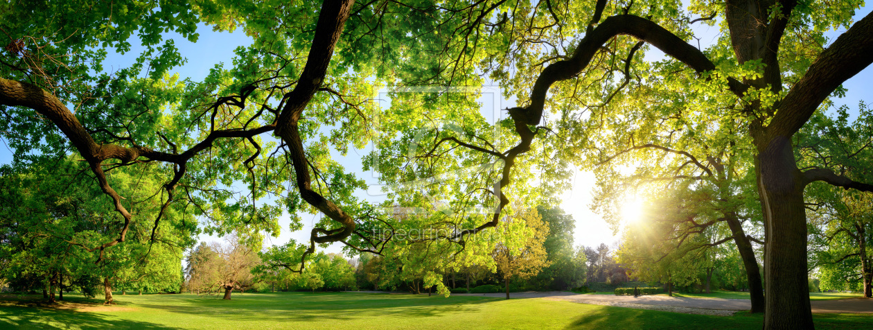 Bild-Nr.: 12105434 Parkszene im Panoramaformat erstellt von Smileus