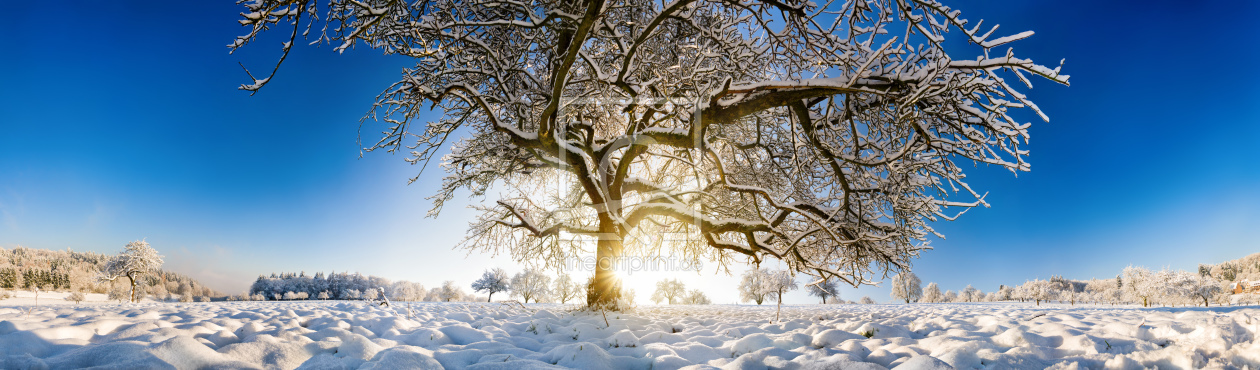 Bild-Nr.: 12106177 Majestätisches Winterpanorama im Schnee erstellt von Smileus