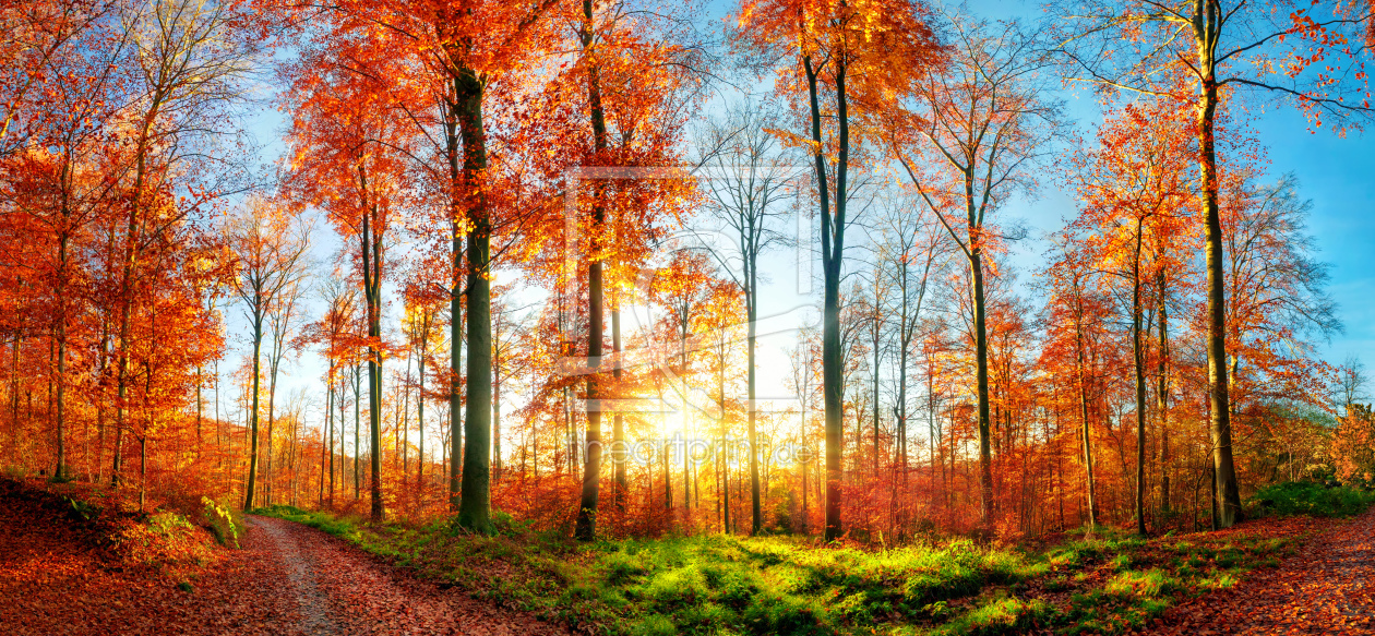 Bild-Nr.: 12107439 Herbstlandschaft Panorama bei Sonnenuntergang erstellt von Smileus