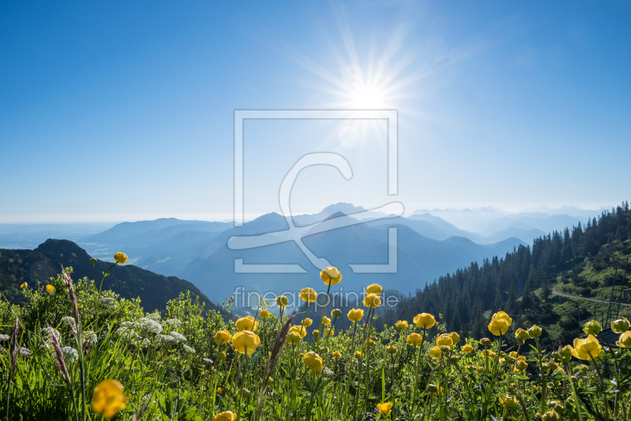 Bild-Nr.: 12107464 Trollblumenwiese und Alpenblick erstellt von SusaZoom