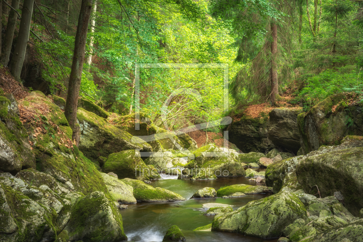 Bild-Nr.: 12107468 Wildbach im grünen Wald erstellt von luxpediation