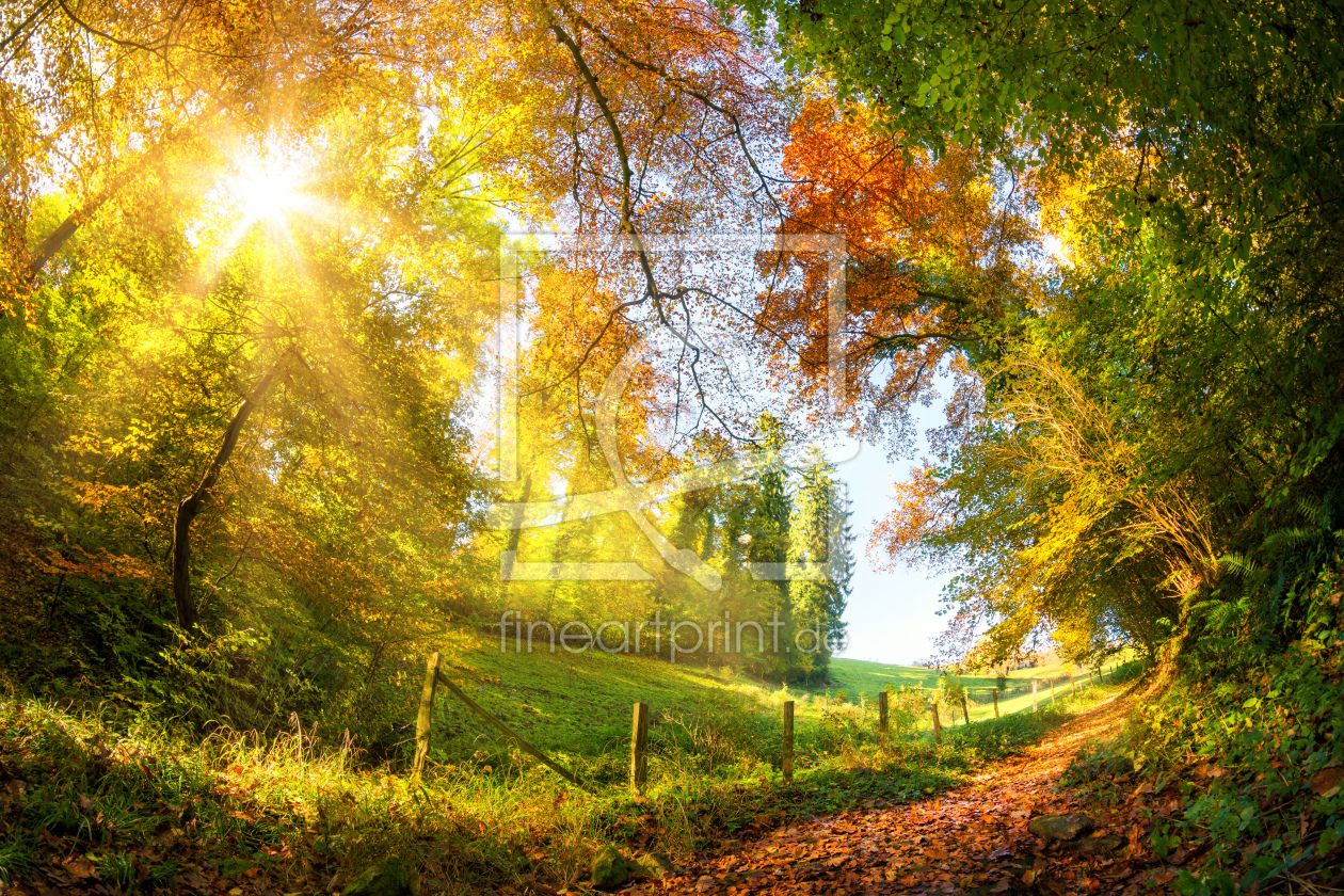 Bild-Nr.: 12107726 Colorful autumn wonderland erstellt von Smileus