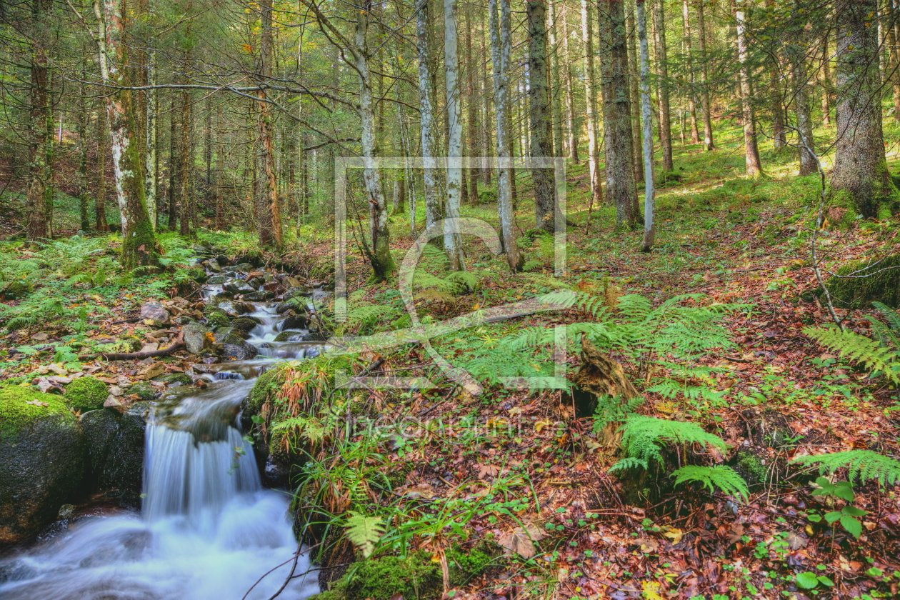 Bild-Nr.: 12107835 Herbstwald erstellt von digidias