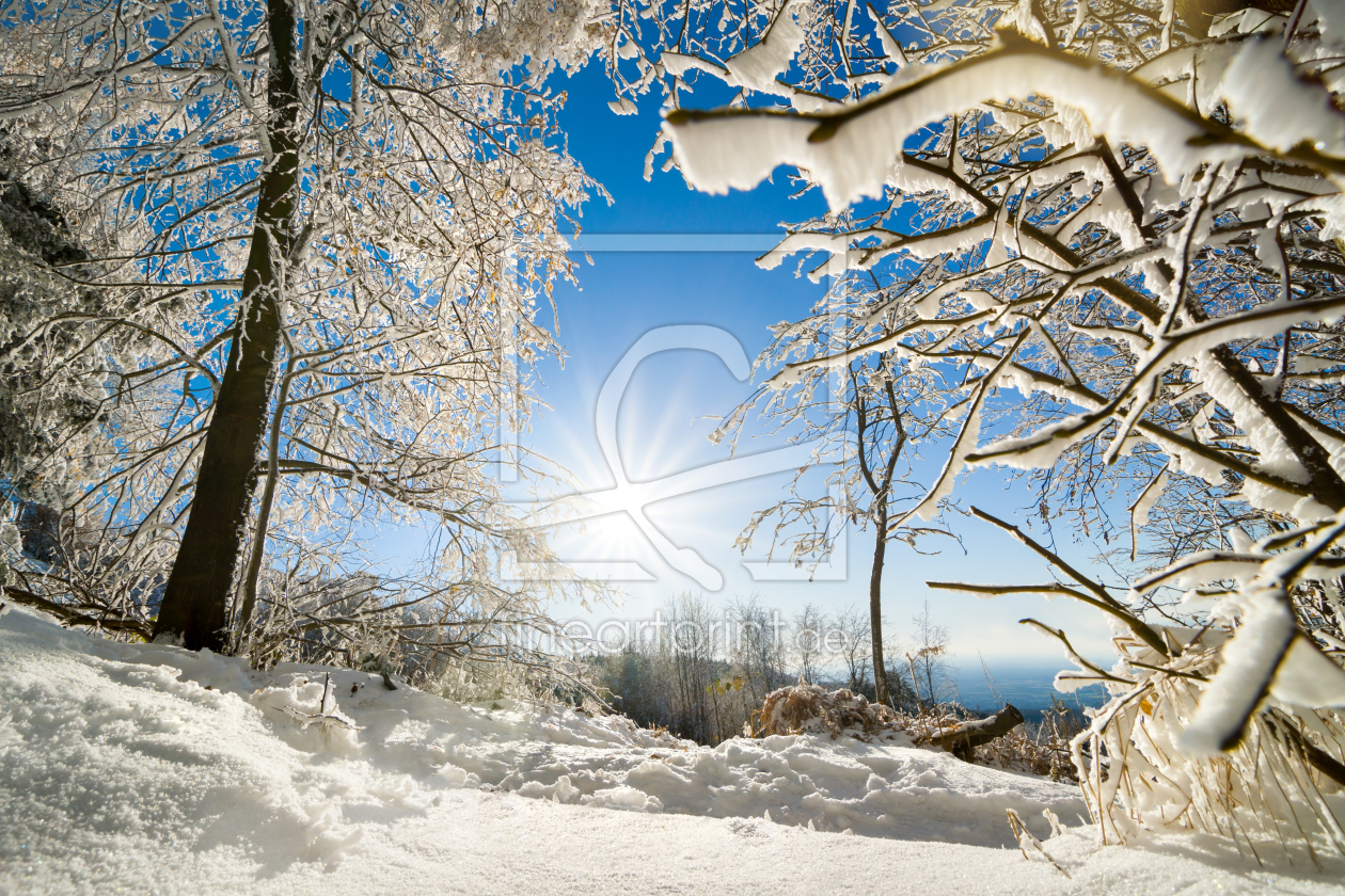 Bild-Nr.: 12108058 Heitere Winterlandschaft mit Sonne erstellt von Smileus