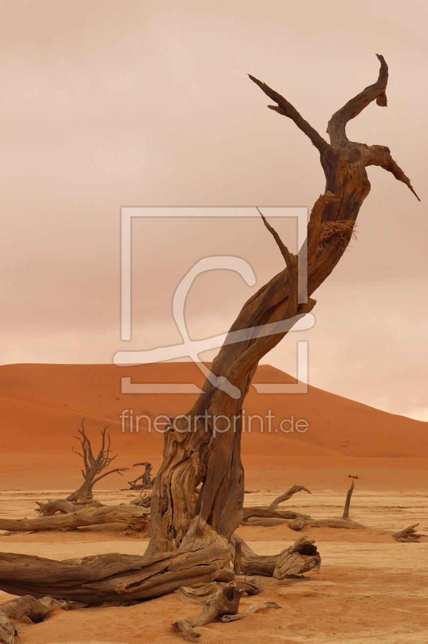 Bild-Nr.: 12109482 Dead Vlei Namibia erstellt von Nita-Pesco