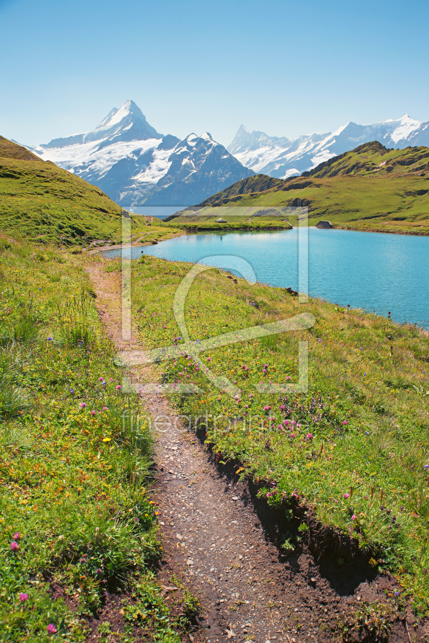 Bild-Nr.: 12112554 Wanderpfad Bachalpsee Schreckhorn Schweiz erstellt von SusaZoom