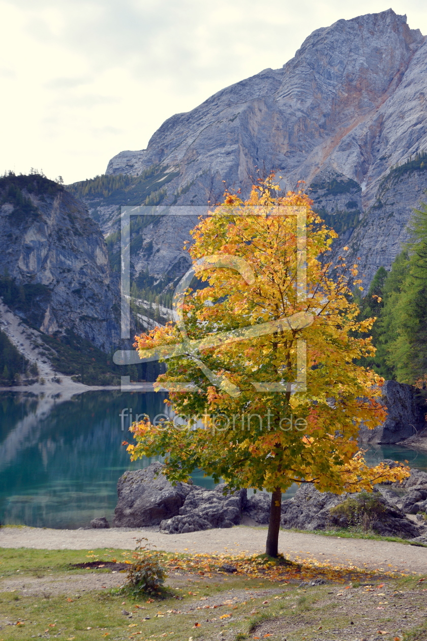 Bild-Nr.: 12112731 Herbst am Pragser Wildsee erstellt von GUGIGEI