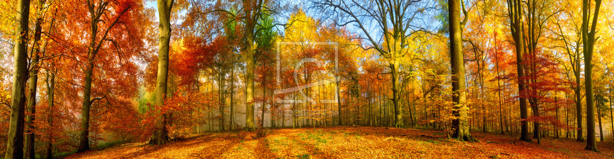 Bild-Nr.: 12112953 Farbenfrohes Panorama im Herbst erstellt von Smileus