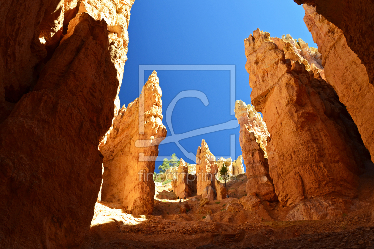 Bild-Nr.: 12114793 Bryce Canyon erstellt von Conny Jasmine Cibella