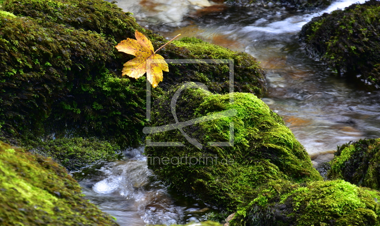 Bild-Nr.: 12115564 am Fluss erstellt von GUGIGEI