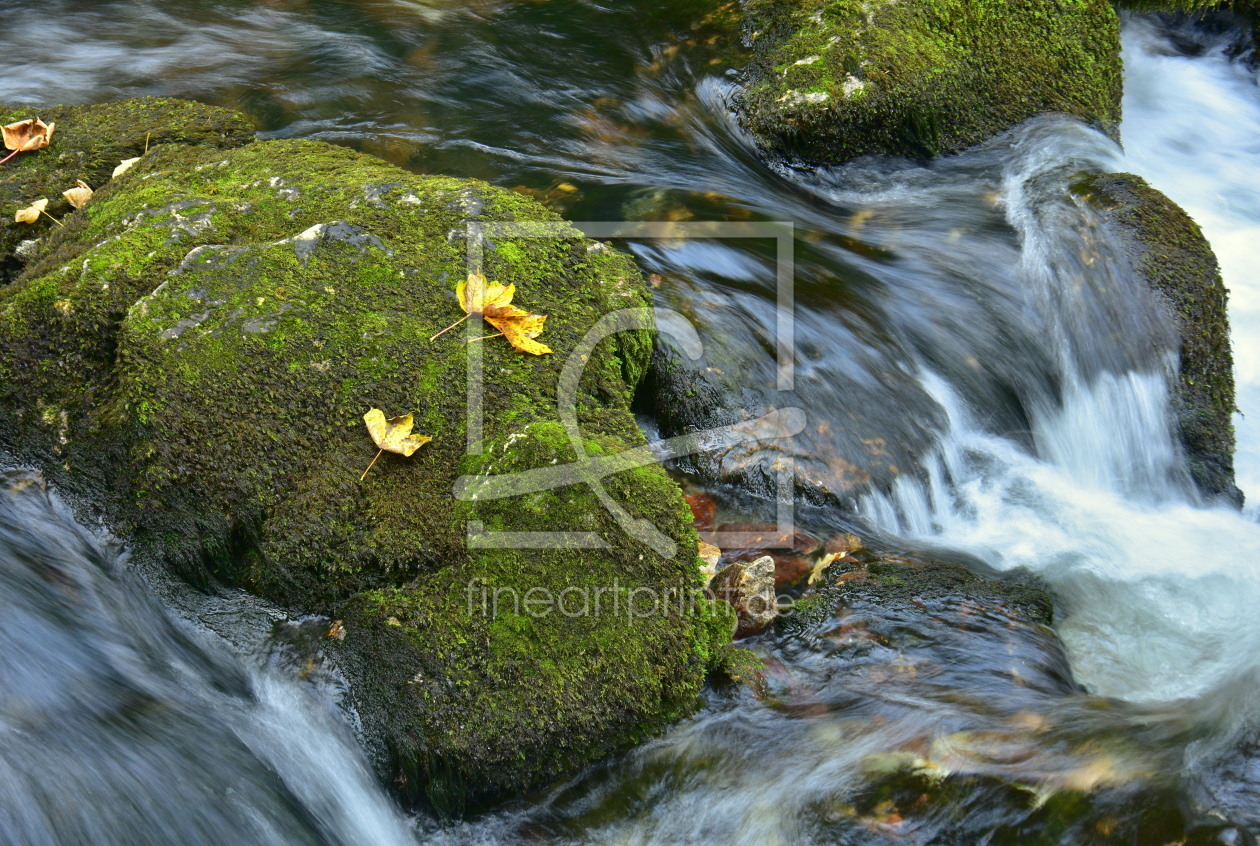 Bild-Nr.: 12115569 am Fluss erstellt von GUGIGEI