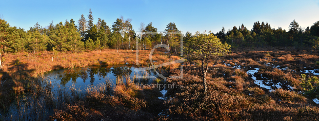 Bild-Nr.: 12117753 Moorlandschaft mit Weiher erstellt von SusaZoom