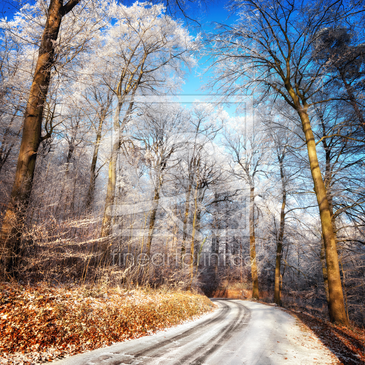 Bild-Nr.: 12118161 Winterlandschaft mit verschneiter Straße erstellt von Smileus