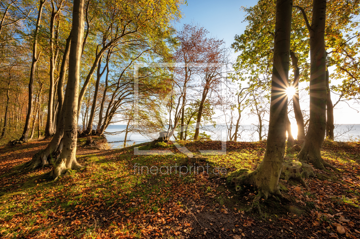 Bild-Nr.: 12118906 Lichtweg an der Ostsee erstellt von Nordbilder