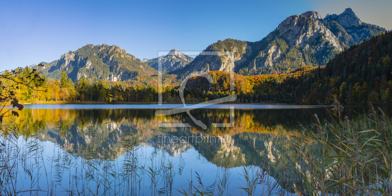 Bild-Nr.: 12119261 Schwansee und Neuschwanstein erstellt von Walter G. Allgöwer