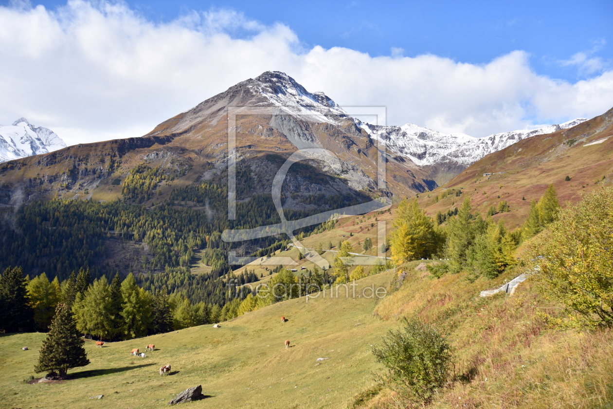 Bild-Nr.: 12121989 Großglockner Hochalpenstrasse erstellt von GUGIGEI