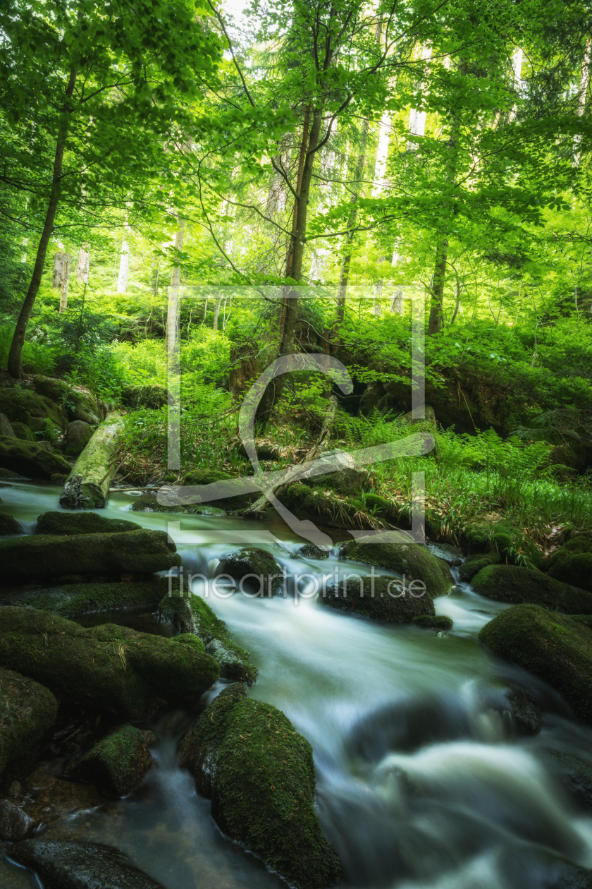 Bild-Nr.: 12122101 Bach im grünen Wald erstellt von luxpediation