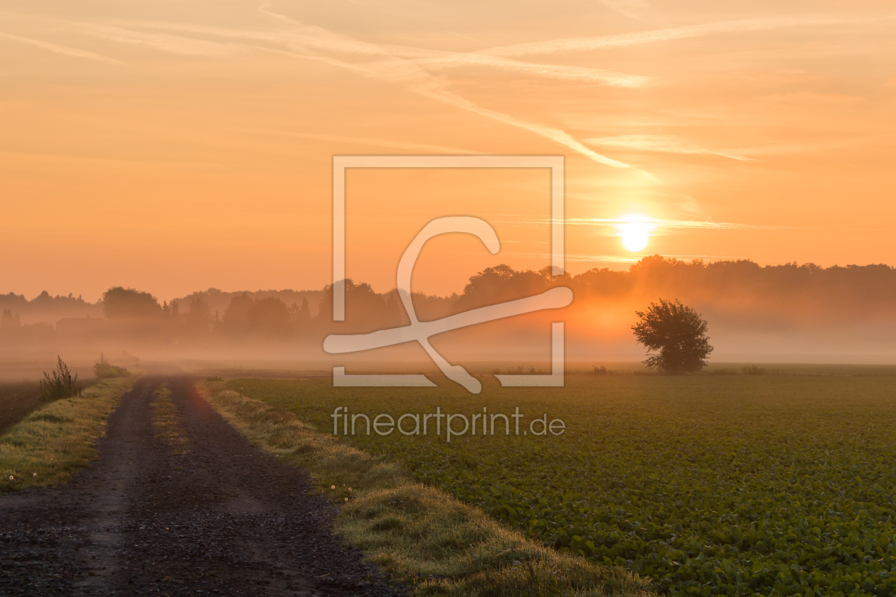 Bild-Nr.: 12126078 Sonnenaufgang an einem Feldweg im Münsterland erstellt von Maverick741