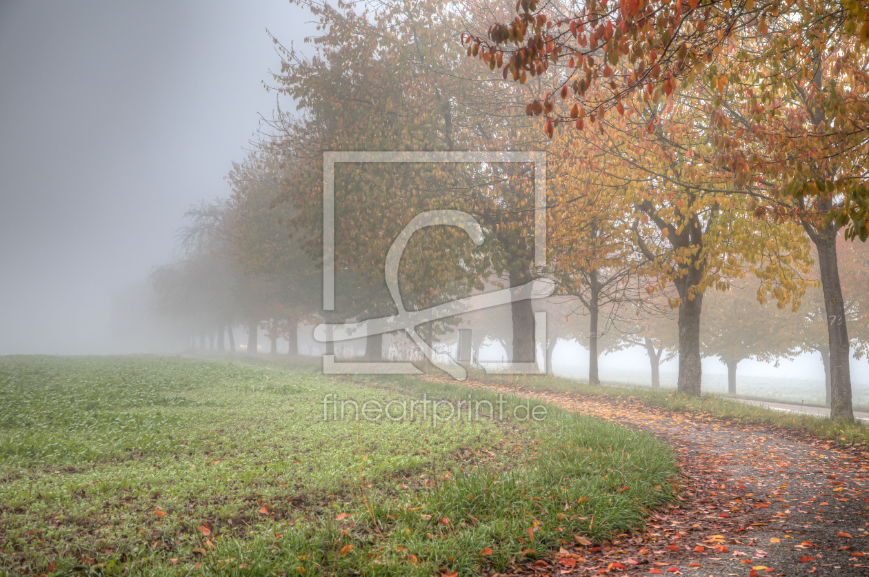 Bild-Nr.: 12127035 Herbst erstellt von shaas737