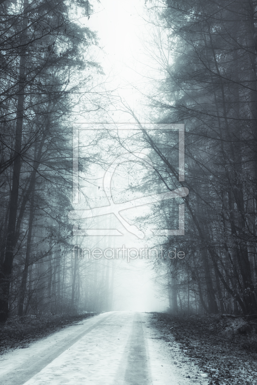 Bild-Nr.: 12129660 Weg im Nebel erstellt von luxpediation