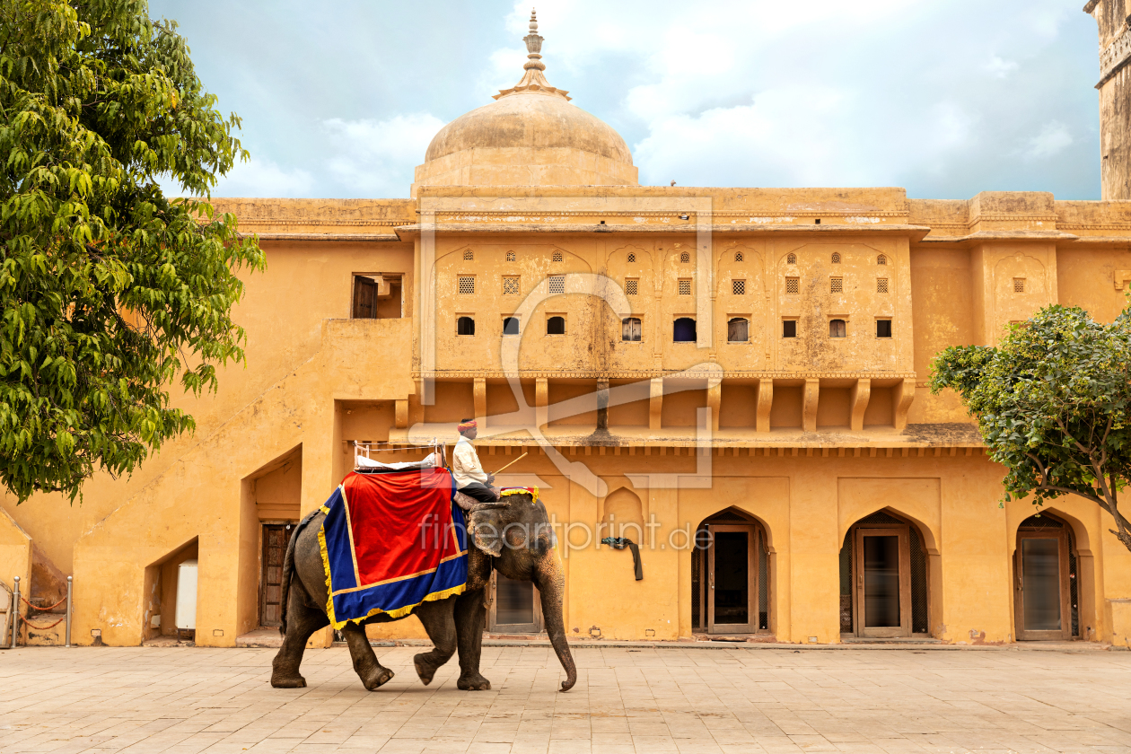 Bild-Nr.: 12131293 Elefantentaxi im Fort Amber in Rajasthan erstellt von 
