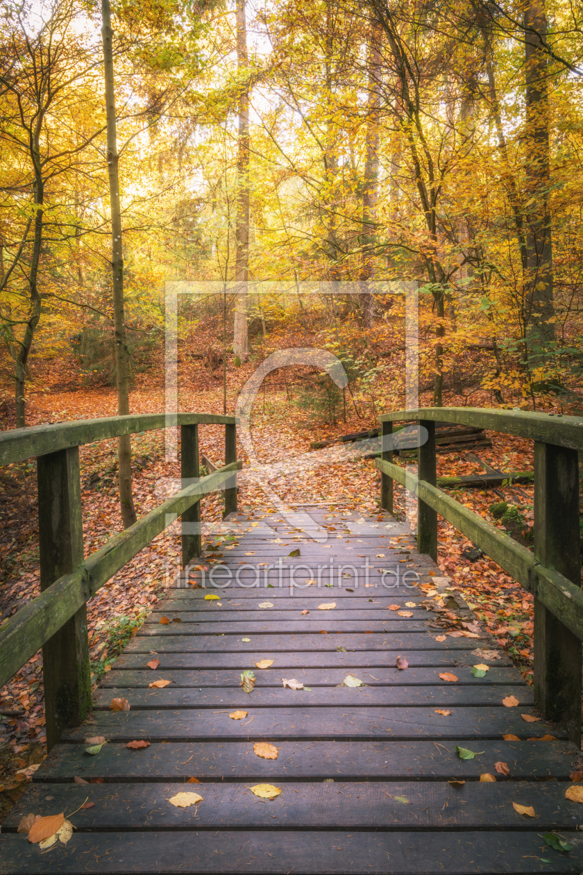 Bild-Nr.: 12137729 Alte Brücke im Wald erstellt von luxpediation