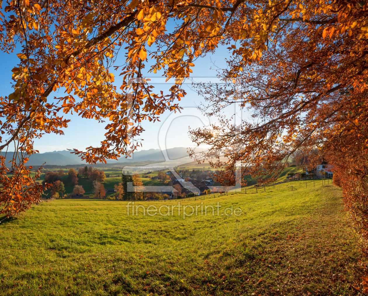 Bild-Nr.: 12143393 Herbstlicher Waldrand Aidlinger Höhe II erstellt von SusaZoom