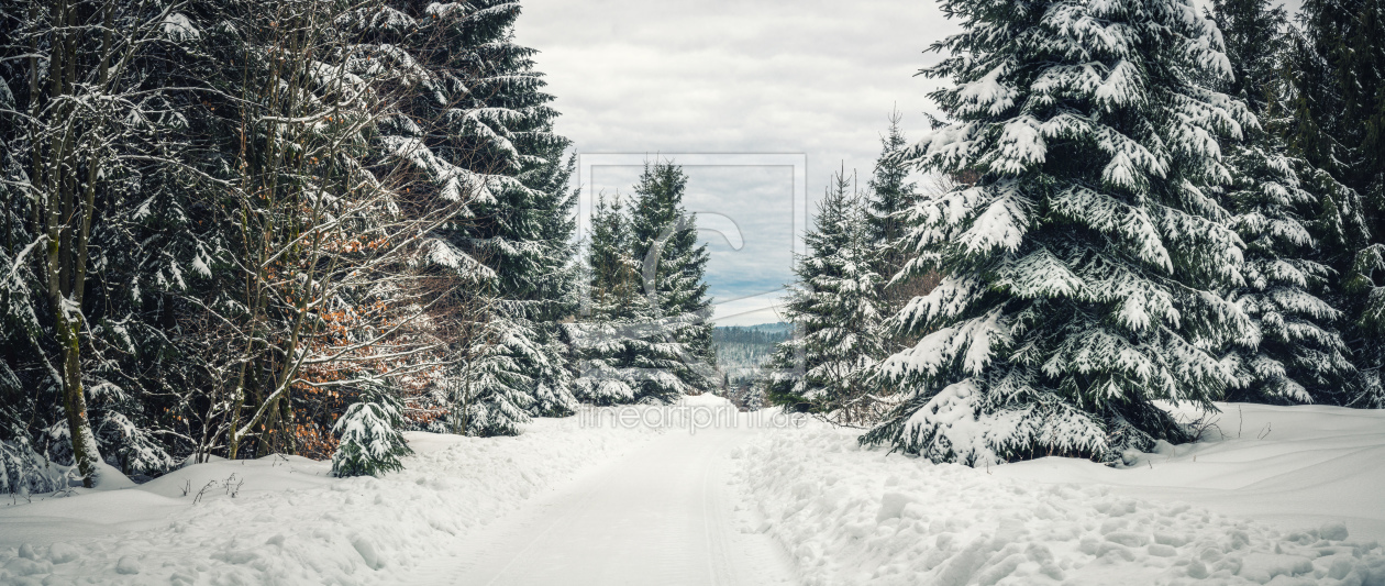 Bild-Nr.: 12143634 Winterwald Panorama erstellt von luxpediation