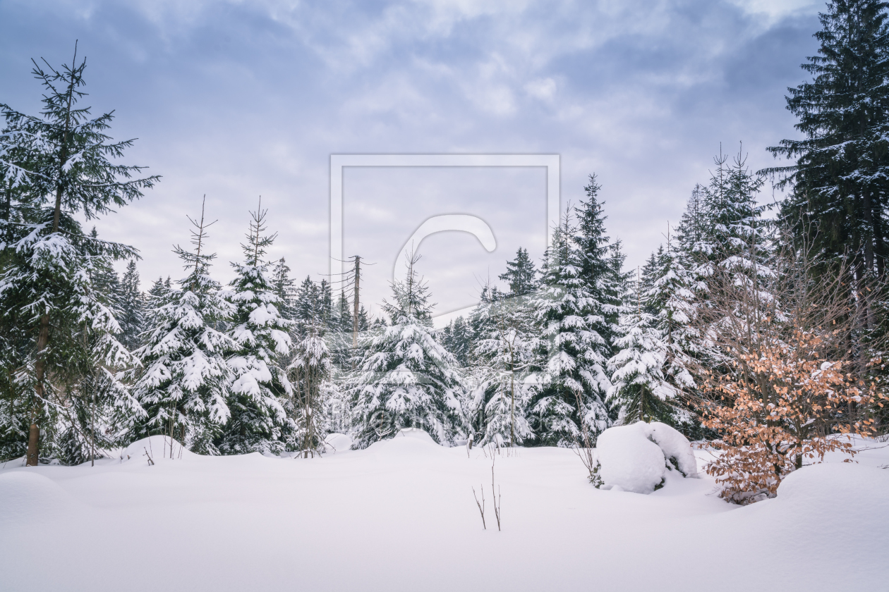 Bild-Nr.: 12145405 Winterwald im tiefen Schnee erstellt von luxpediation