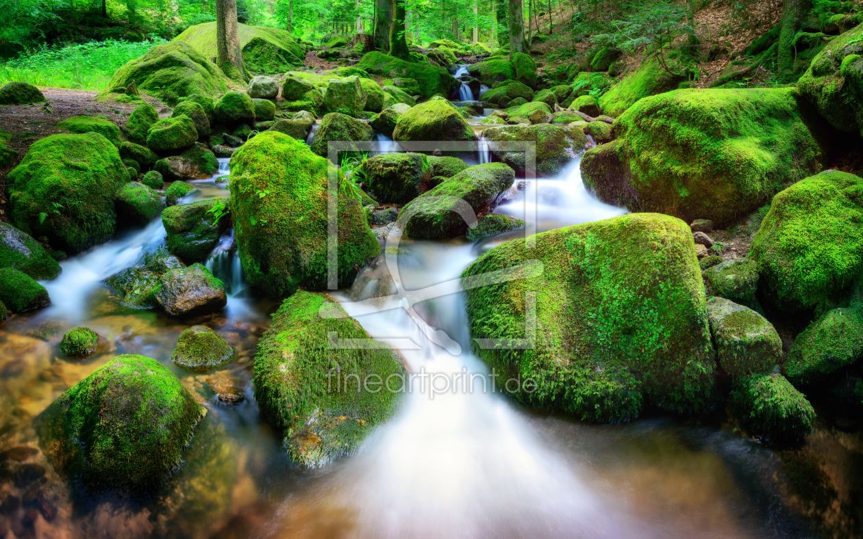 Bild-Nr.: 12145924 Bergbach mit kleinen Wasserfällen und viel Moos erstellt von Smileus