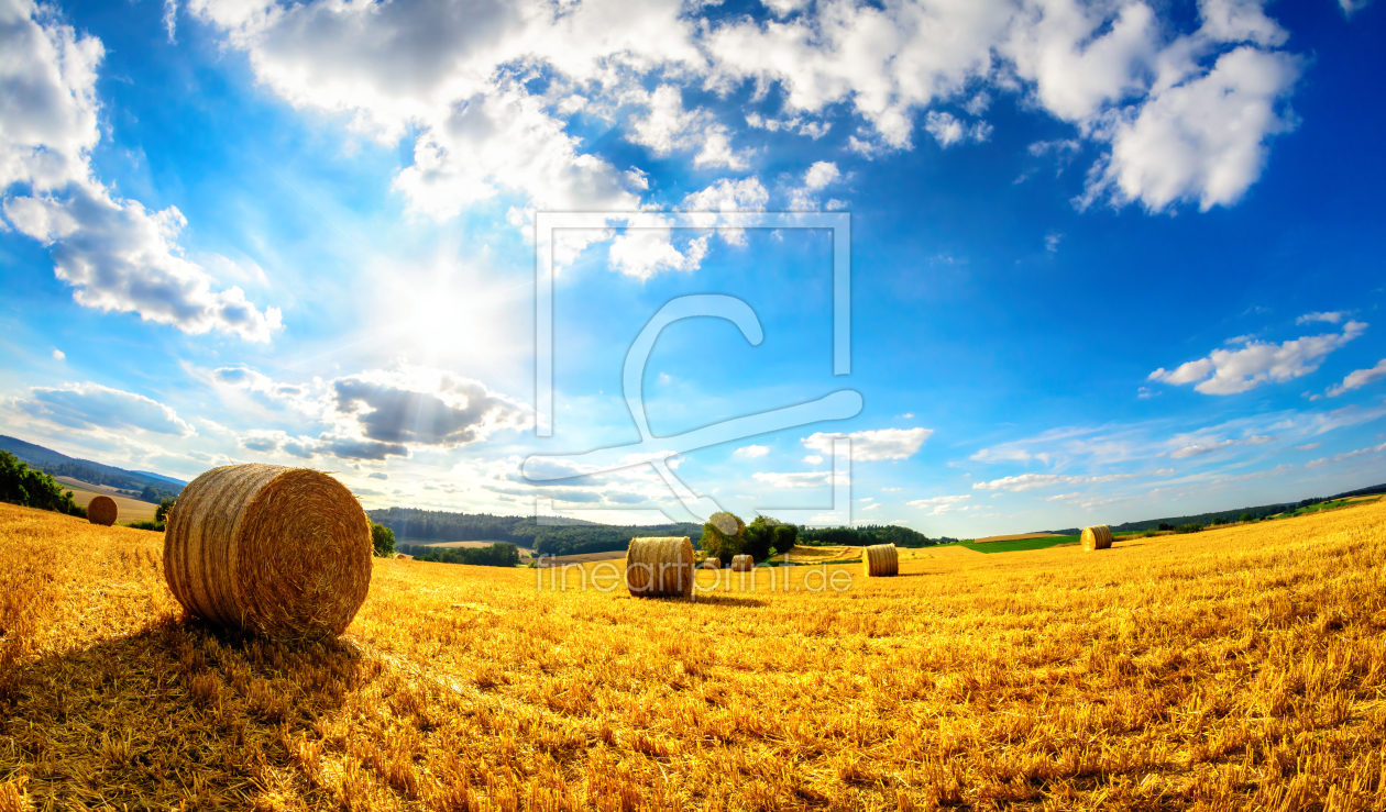 Bild-Nr.: 12149181 Sommer am Land erstellt von Smileus