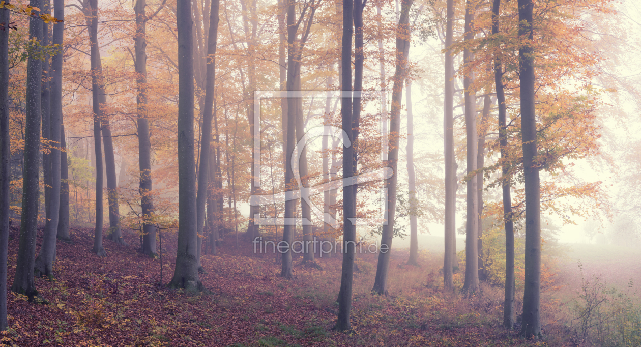 Bild-Nr.: 12150189 Wald im Nebel erstellt von luxpediation